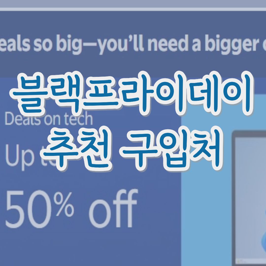 블랙프라이데이구입목록