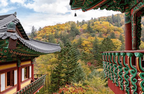 단풍여행 당일 단풍버스여행