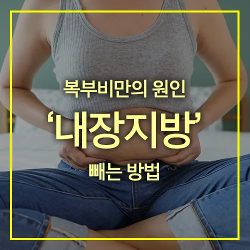 복부비만의 원인 내장지방 빼는 방법 썸네일