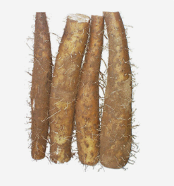 마 이미지 사진