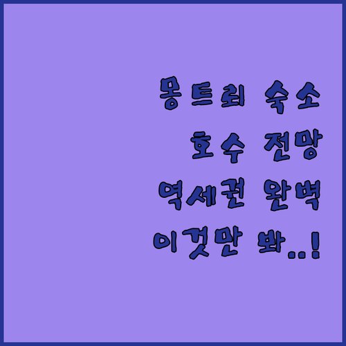 스위스 몽트뢰 여행 숙소 어디가 좋을..