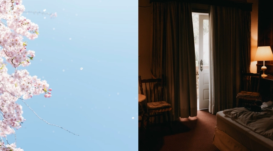 진해 군항제 숙박