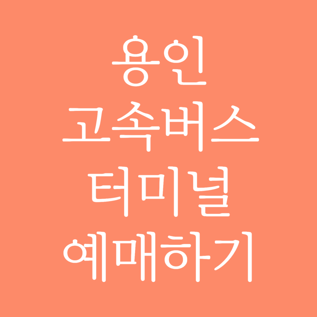 용인 실시간 고속버스터미널 시간표 조회 및 예매하기