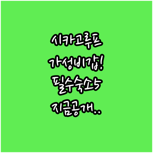 시카고 루프 지역 추천 숙소 5곳 위..