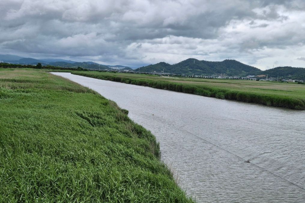 순천만습지