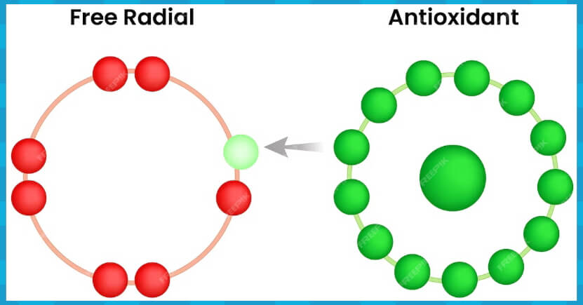 활성산소를 줄이는 건강한 식습관
