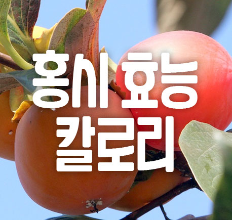 홍시 효능 칼로리