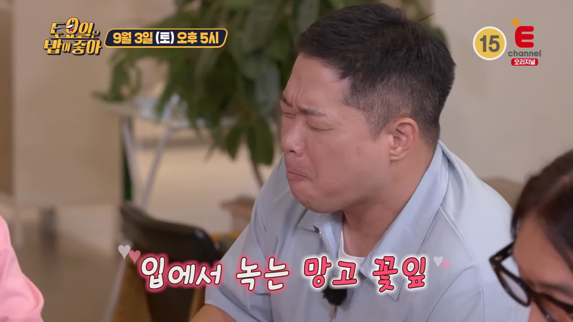 토요일은 밥이좋아 토밥 국내산 노란 꽃이 활짝 핀 생 망고빙수, 팥빙수, 애플망고 빙수 디저트 카페 경주 맛집 추천 토밥즈 방송정보