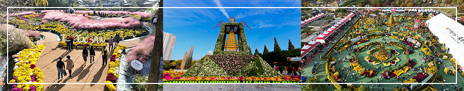 익산 천만송이 국화축제 실외 전시 이미지/ 출처: 공식홈페이지