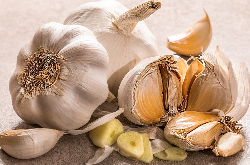 마늘 관련 사진