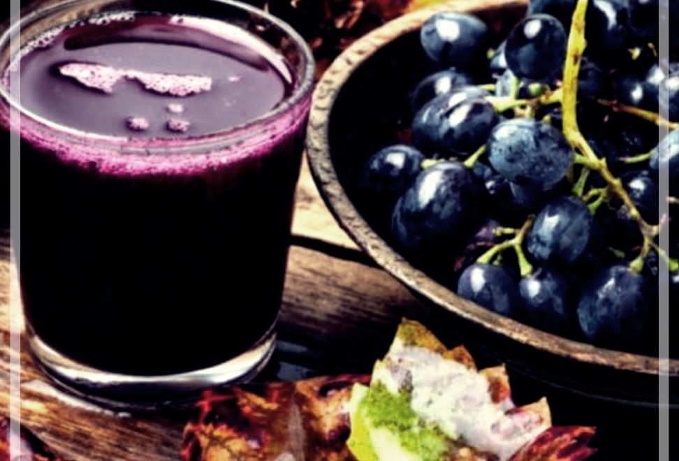 왜 포도즙을 마셔야 하는가? 포도즙 효능 알아보기