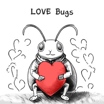 러브버그 출몰시기 및 퇴치방법