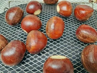 에어프라이어 밤 굽기 꿀팁 레시피_21