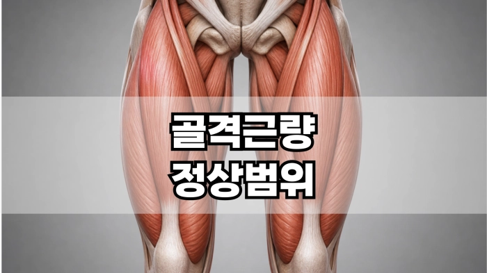 골격근량 정상범위