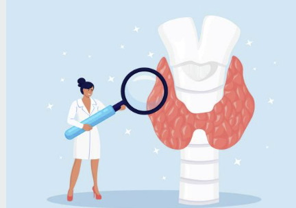 갑상선 기능 저하증 증상 수치 좋은음식 총정리(최신)