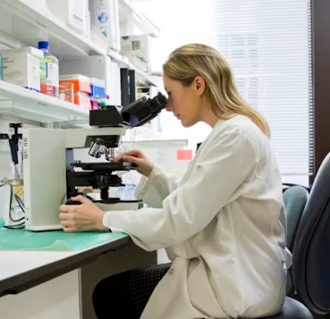 암보험 비교사이트 가격 추천상품