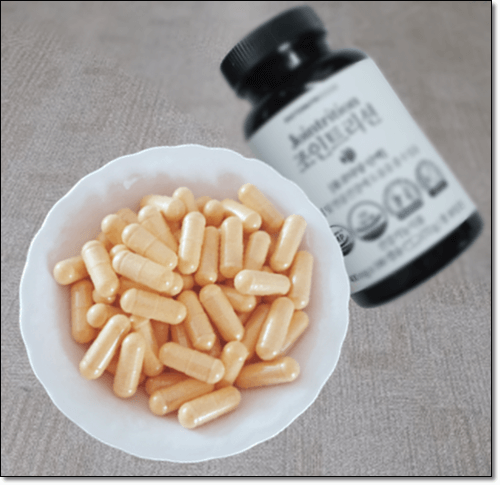 콘드로이친 보충제 