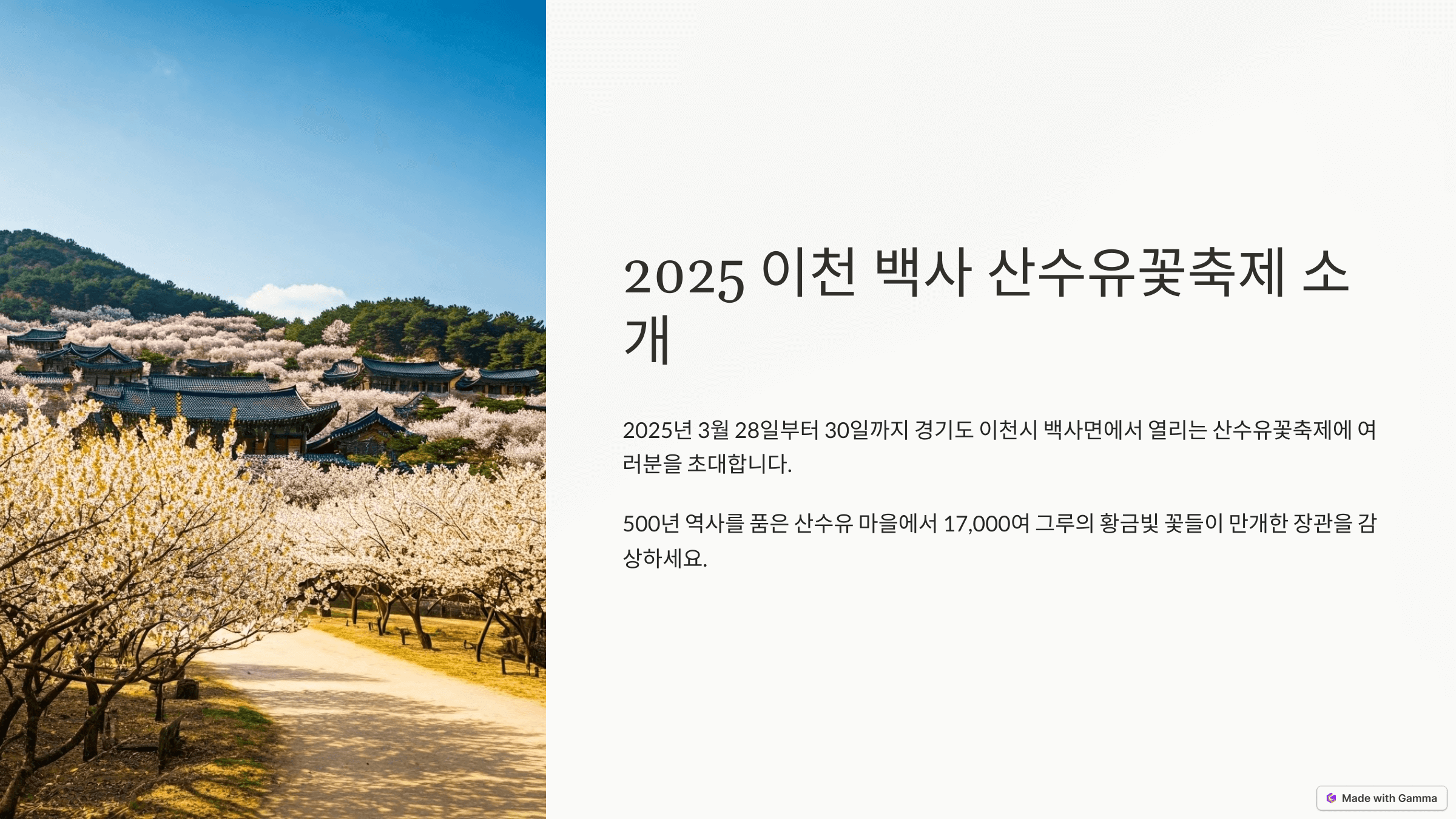 이천백사 산수유꽃축제