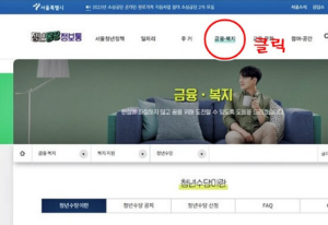 서울시 청년수당 신청