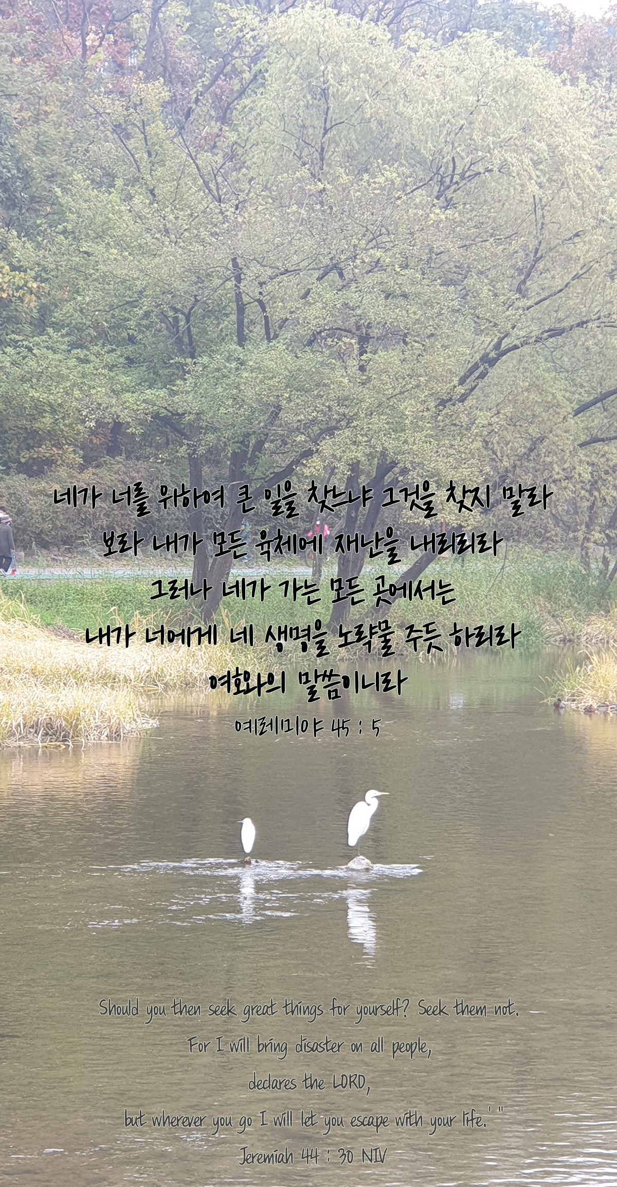 예레미야 45장