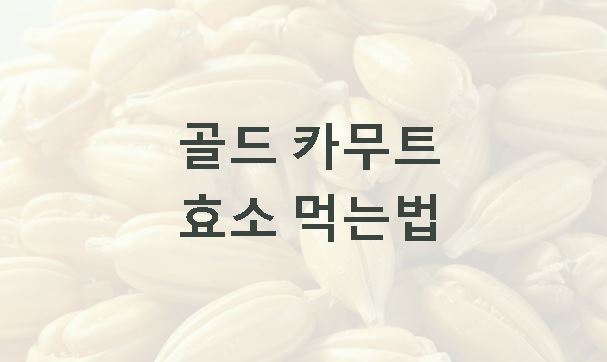 골드 카무트 효소 먹는법