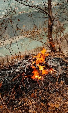 마른-낙엽에-불이-붙어-서서히-확산되는-모습