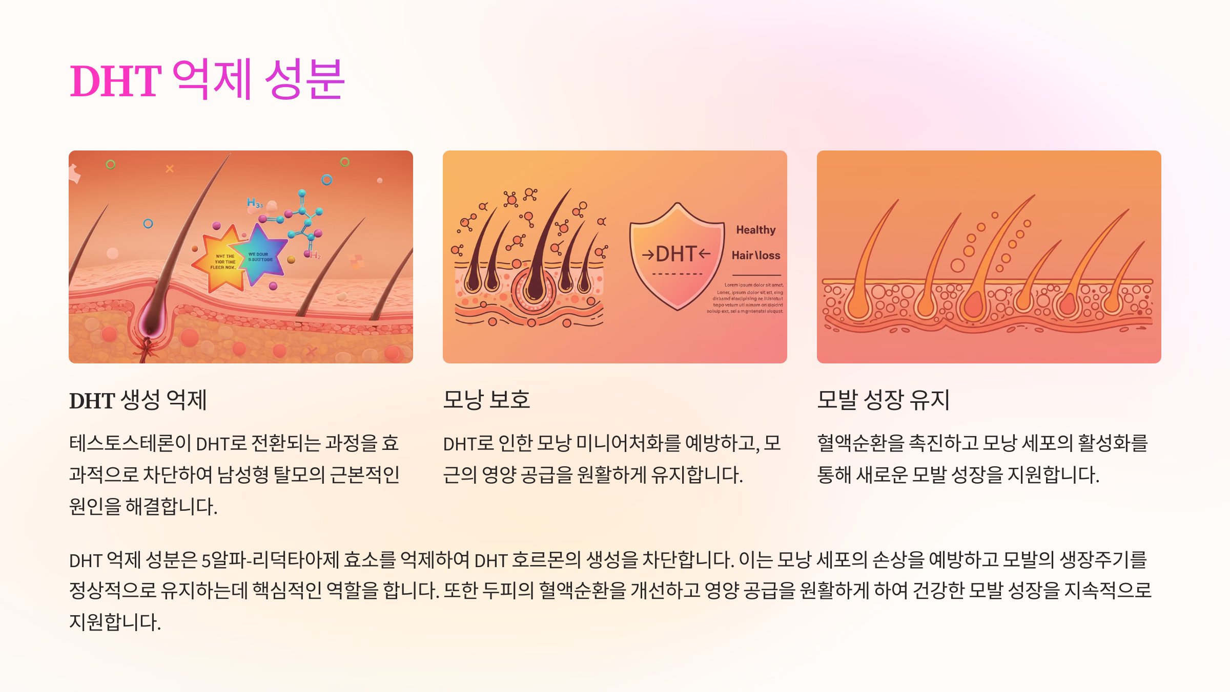 DHT 억제 성분 (Saw Palmetto, Green Tea Extract) 관련 이미지