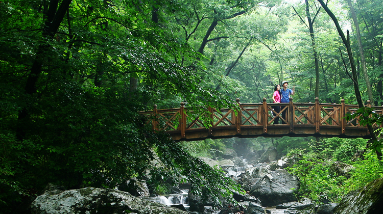 숙박페스타 할인 여행 숙소 국내여행