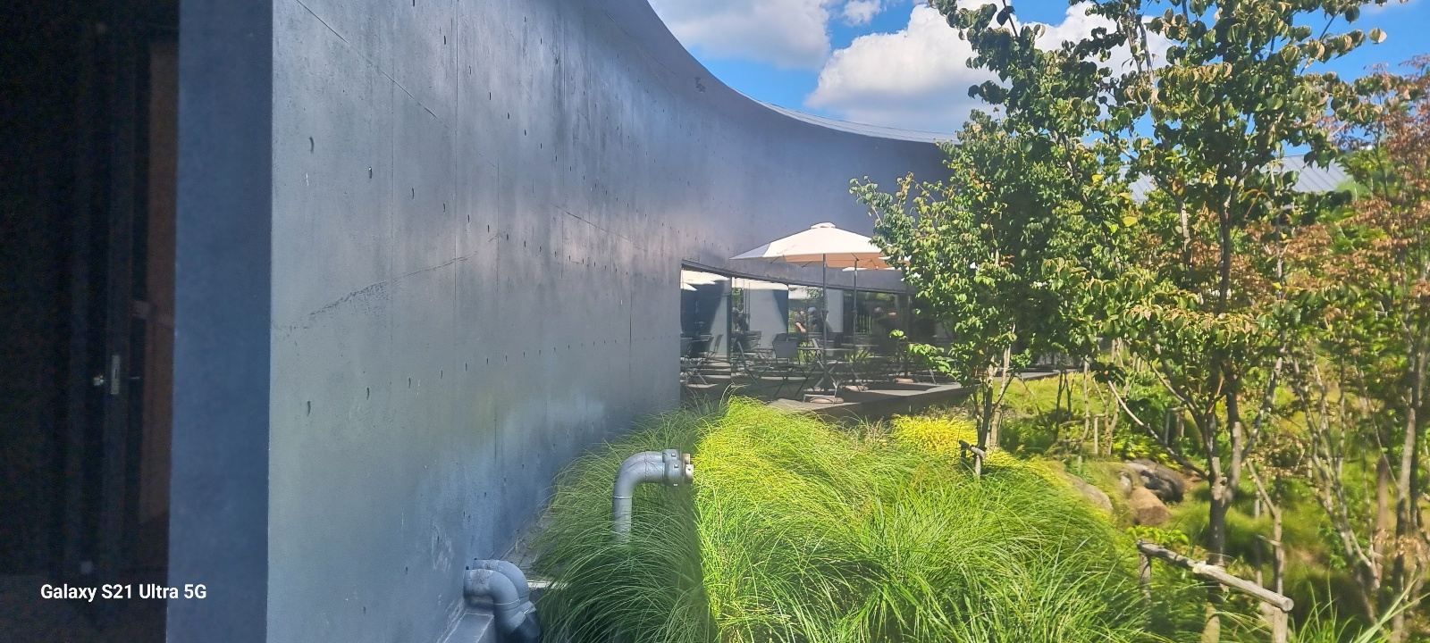 입구에서 정원으로 이어지는 길