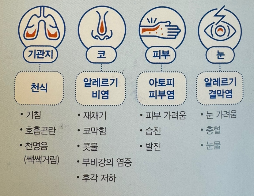 알레르기 증상 안내