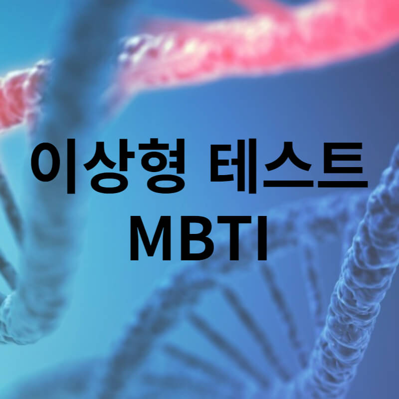 이상형 테스트