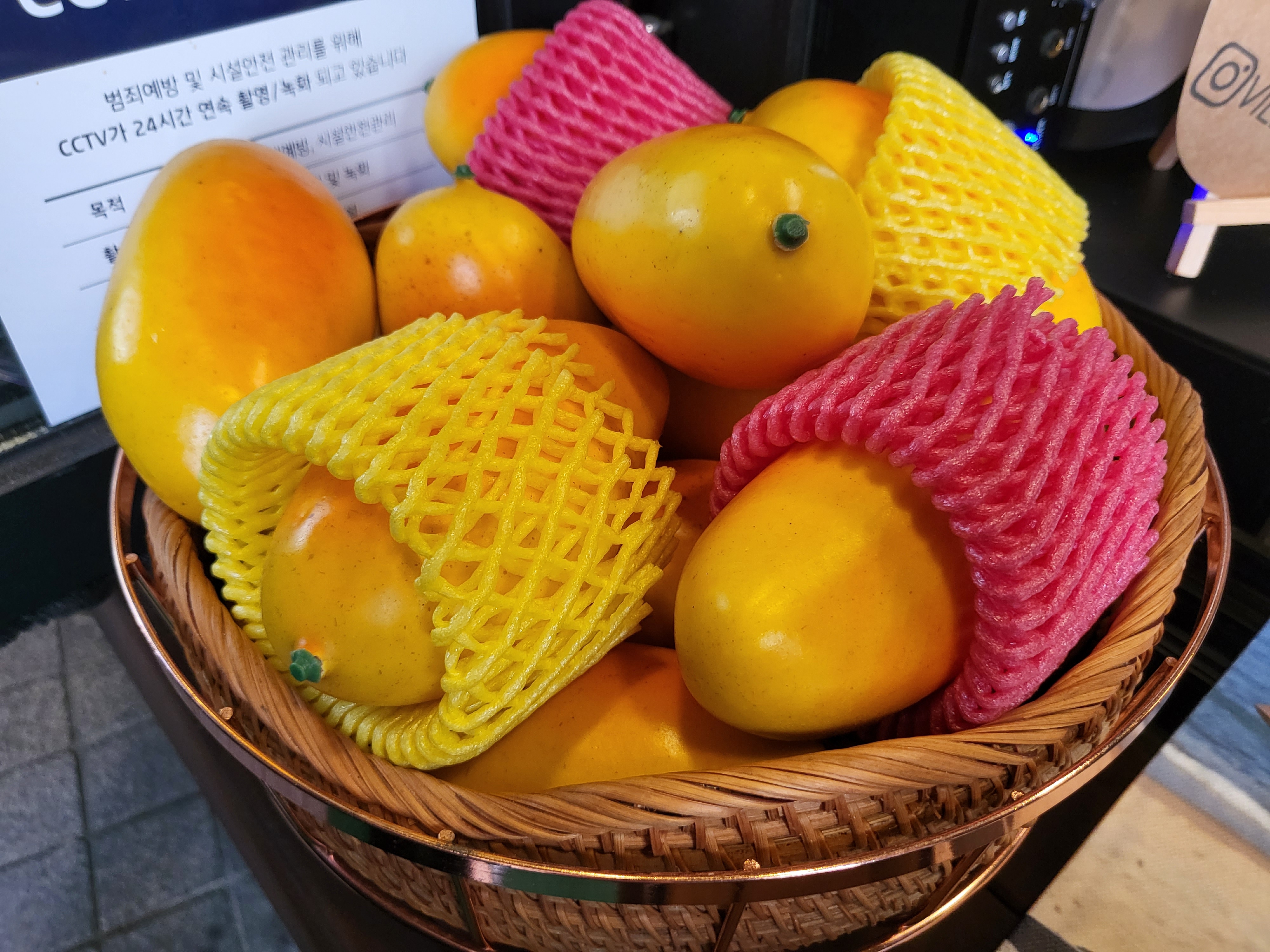 속초 비엔망 - 망고모형