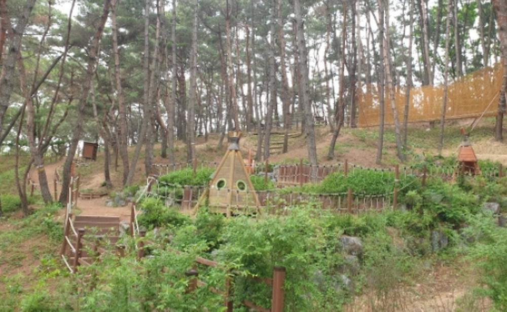 대구 달서별빛캠프 캠핑장 소개