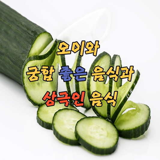 오이와 궁합좋은 음식과 상극인 음식