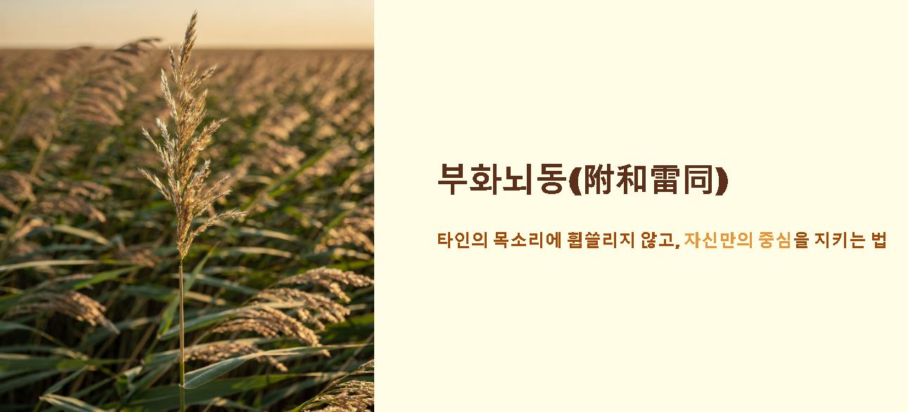부화뇌동 뜻 유래