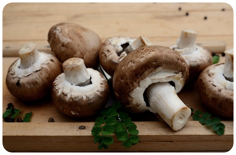 버섯 종류별 면역력 효능, 섭취 방법과 활용