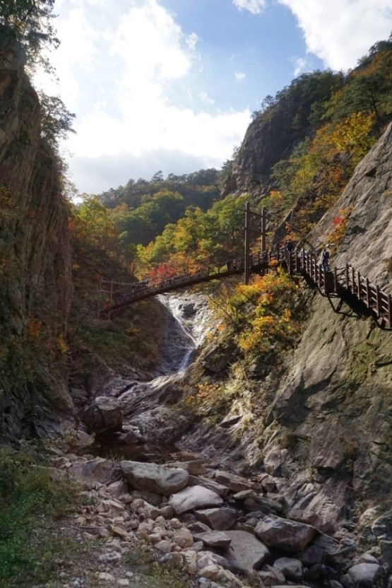 설악산 단풍시기