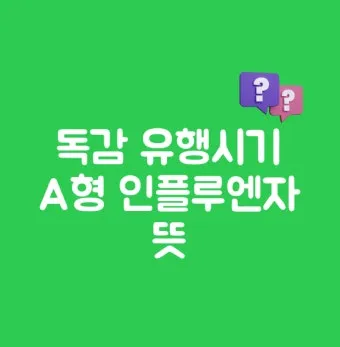 독감 유행 시기 실내 환기 손소독 외출 복장 안내_10