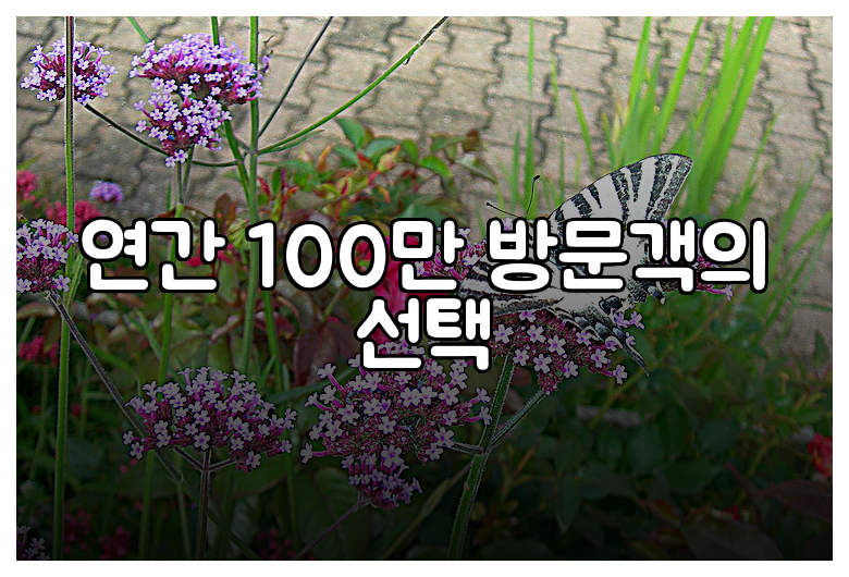 연간 100만 방문객의 선택