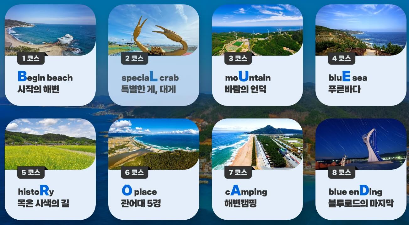 영덕 관광지 추천