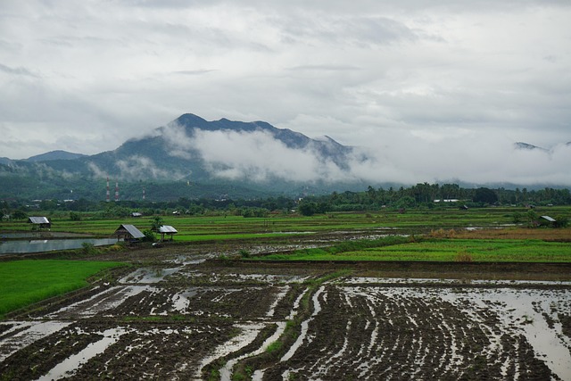 면적 위치 확인