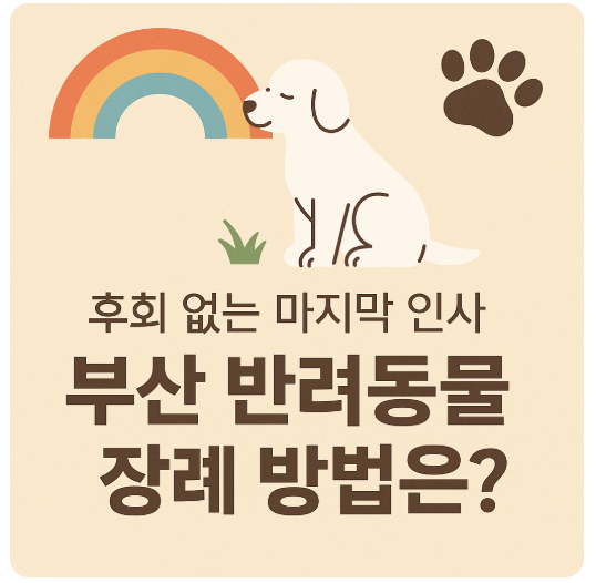 후회 없는 마지막 인사, 부산 반려동물 장례 방법은?