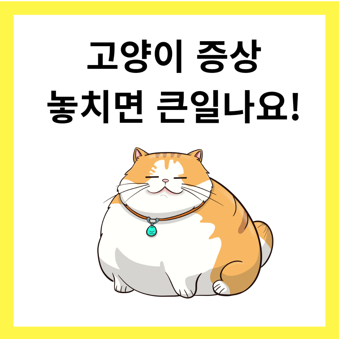 고양이-증상-당뇨-썸네일