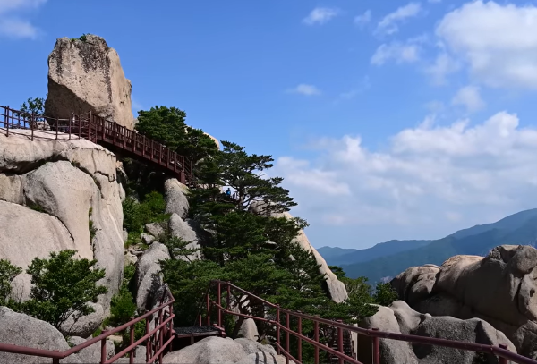 봄에 떠나기 좋은 국내 여행