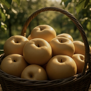 돌배나무, 심고 몇 년 기다려야 열매를 맛볼 수 있을까?