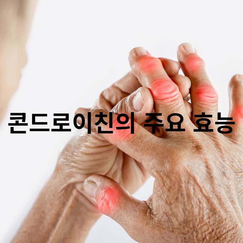 콘드로이친 소연골과 상어연골 차이