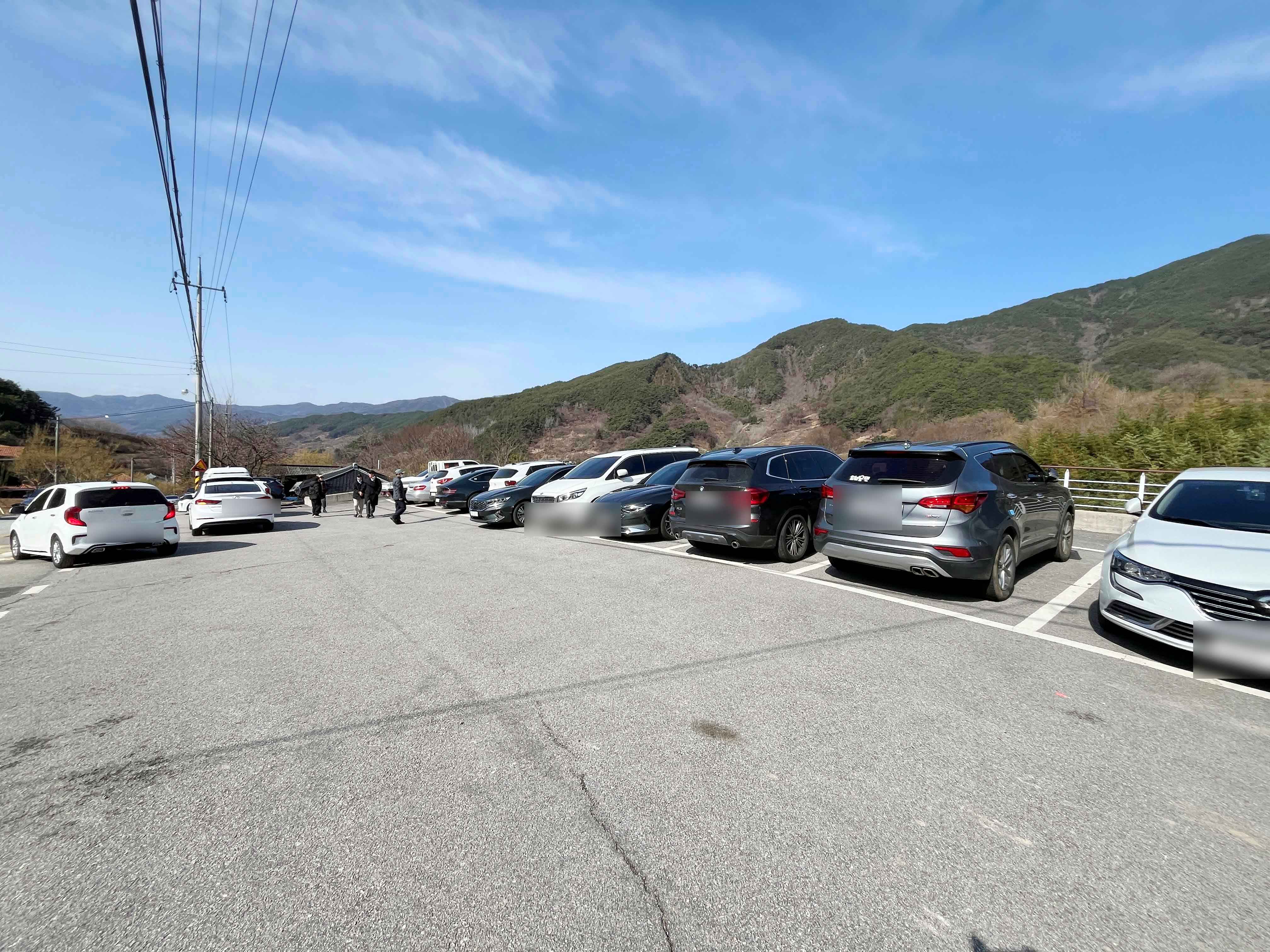 구례 산수유마을