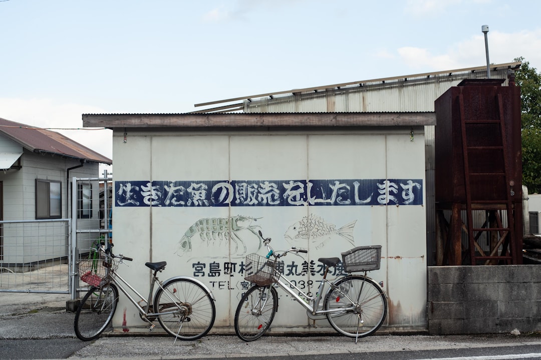 Cyst