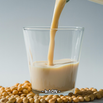 병아리콩 두유 만드는 법