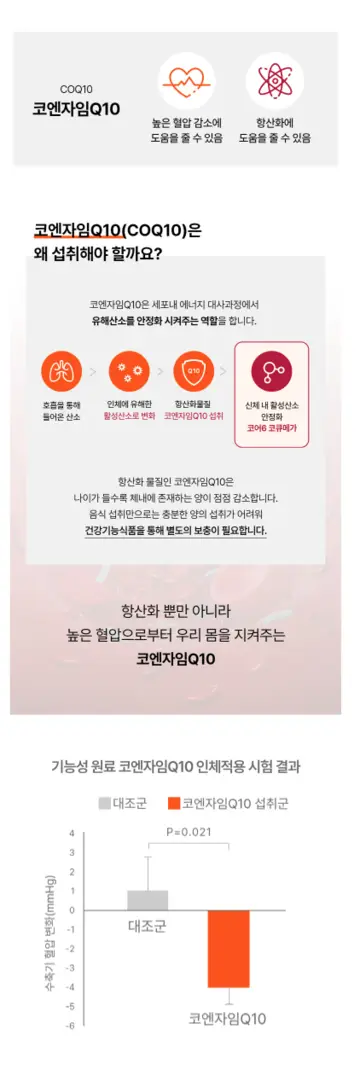 코어6코큐메가4